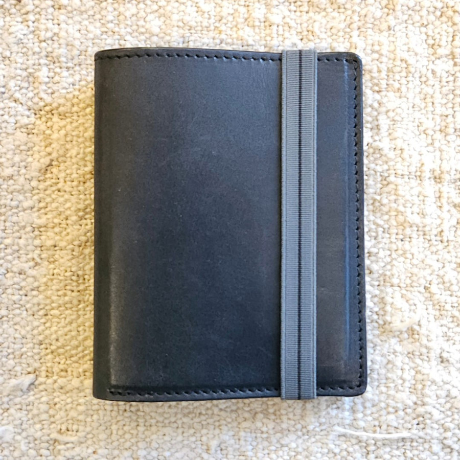 CARTERA NEGRA