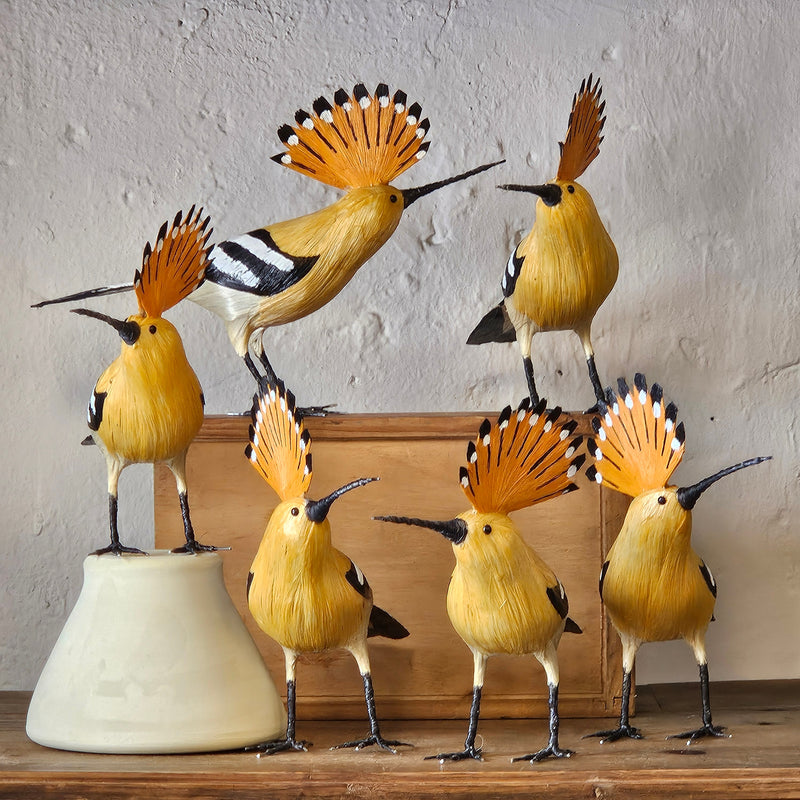 Pájaros