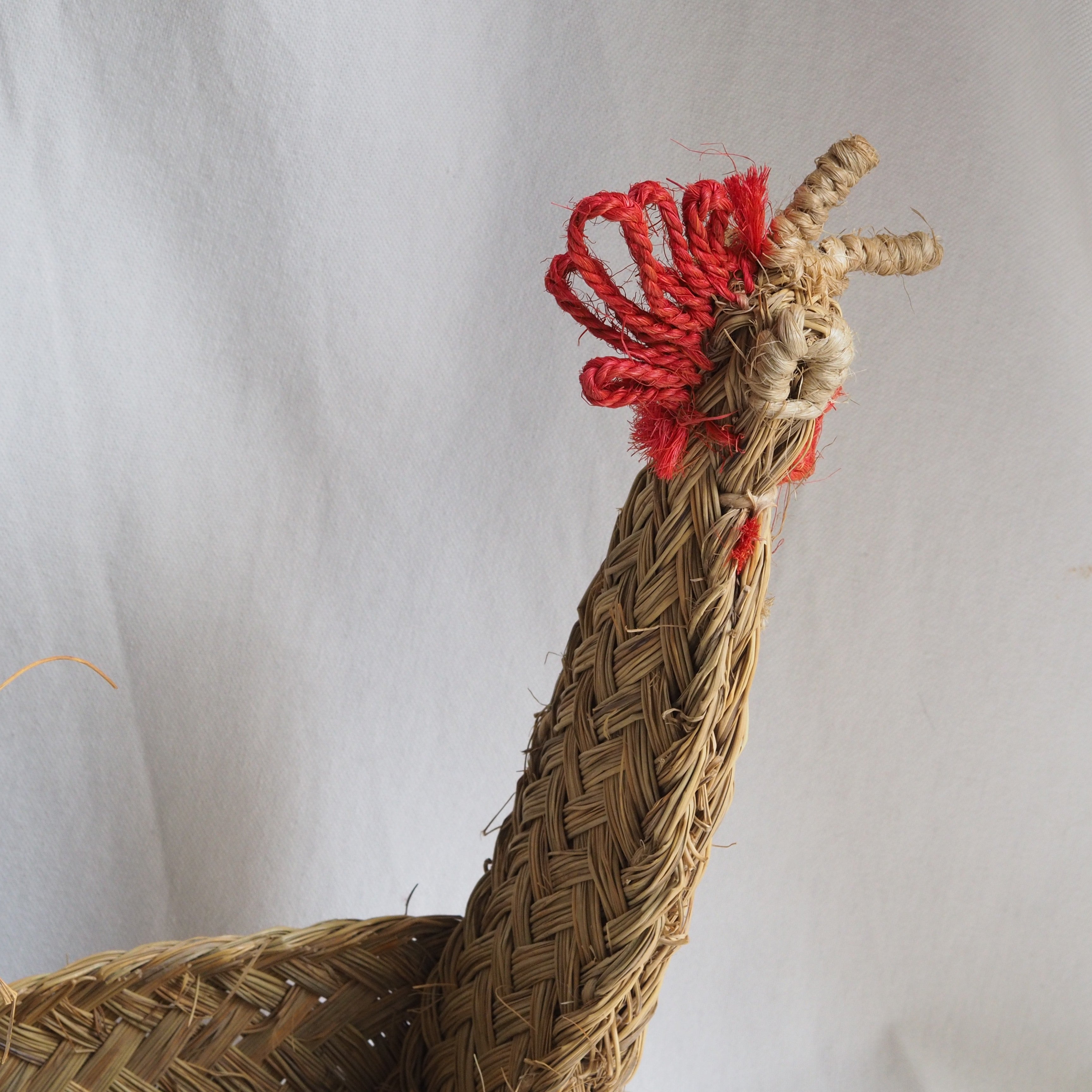 GALLO HUEVERA ESPARTO | JAÉN