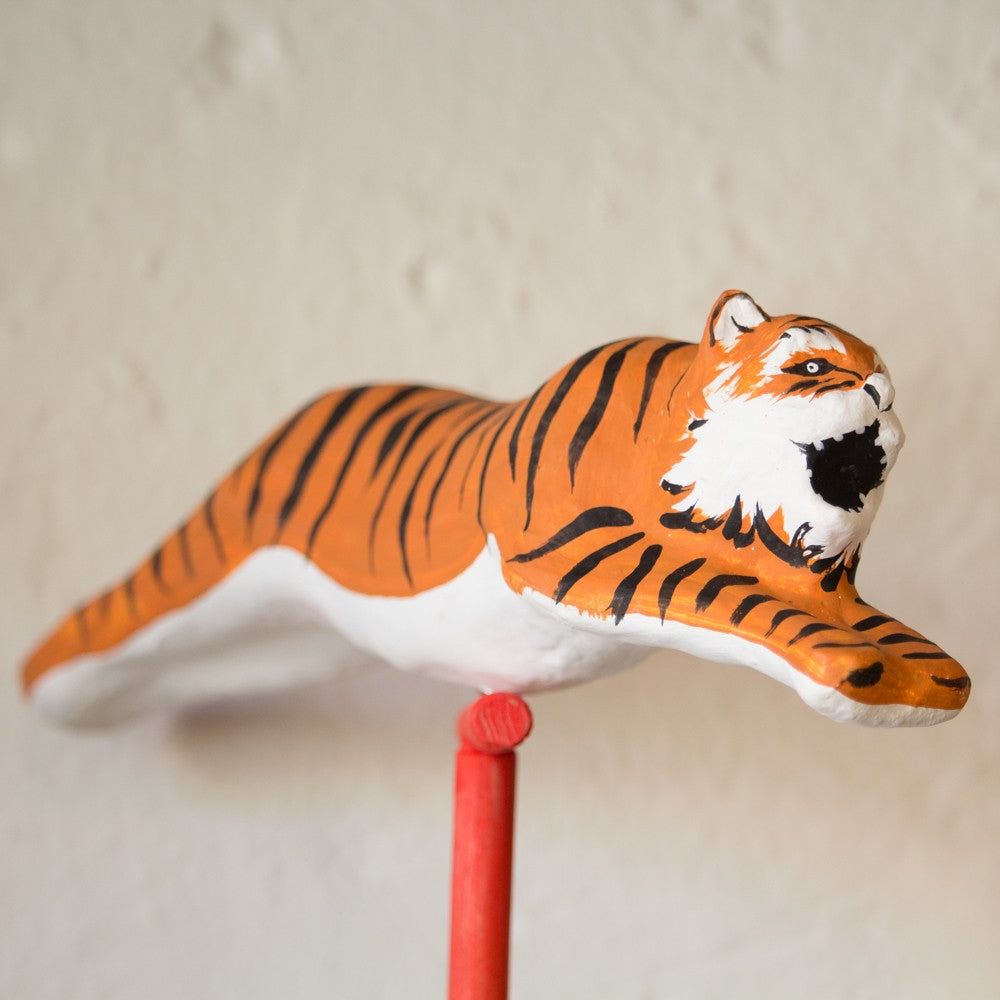 TIGRE | CIRCO