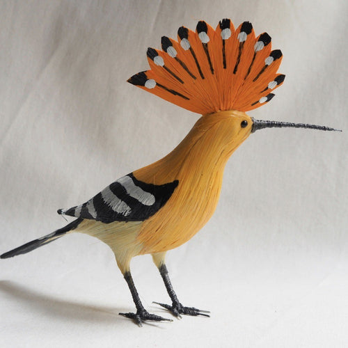 ABUBILLA | UPUPA EPOPS | PÁJAROS