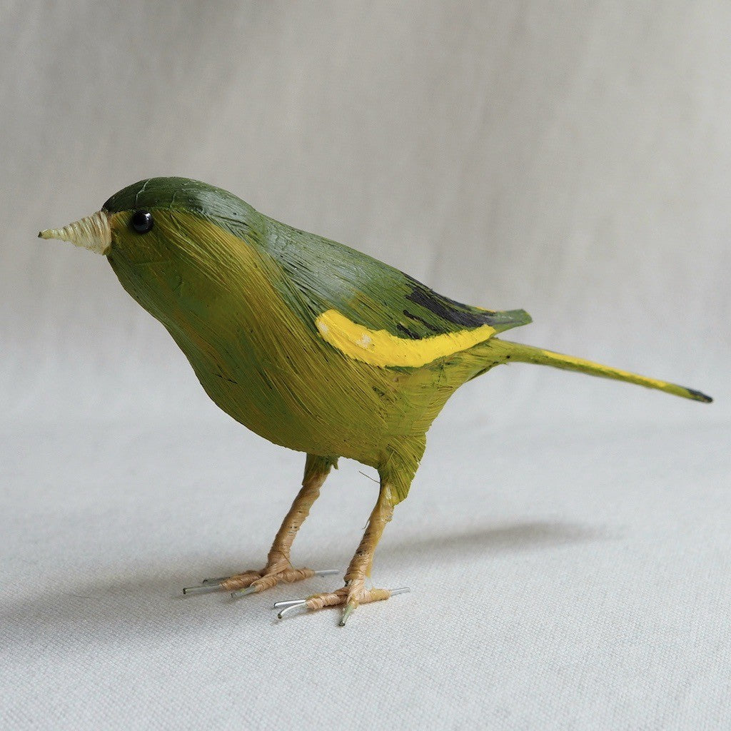 VERDERON | CHLORIS CHLORIS | PÁJAROS