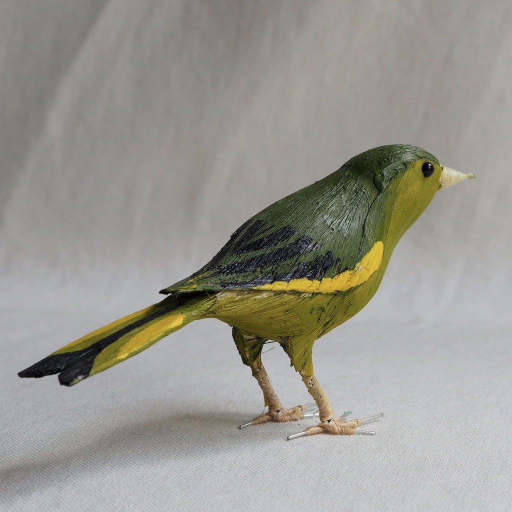 VERDERON | CHLORIS CHLORIS | PÁJAROS