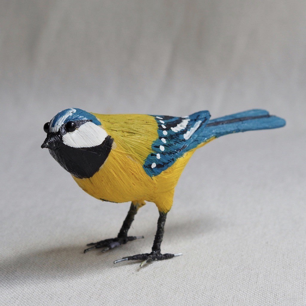 HERRERILLO | CYANISTES CAERULEUS | PÁJAROS