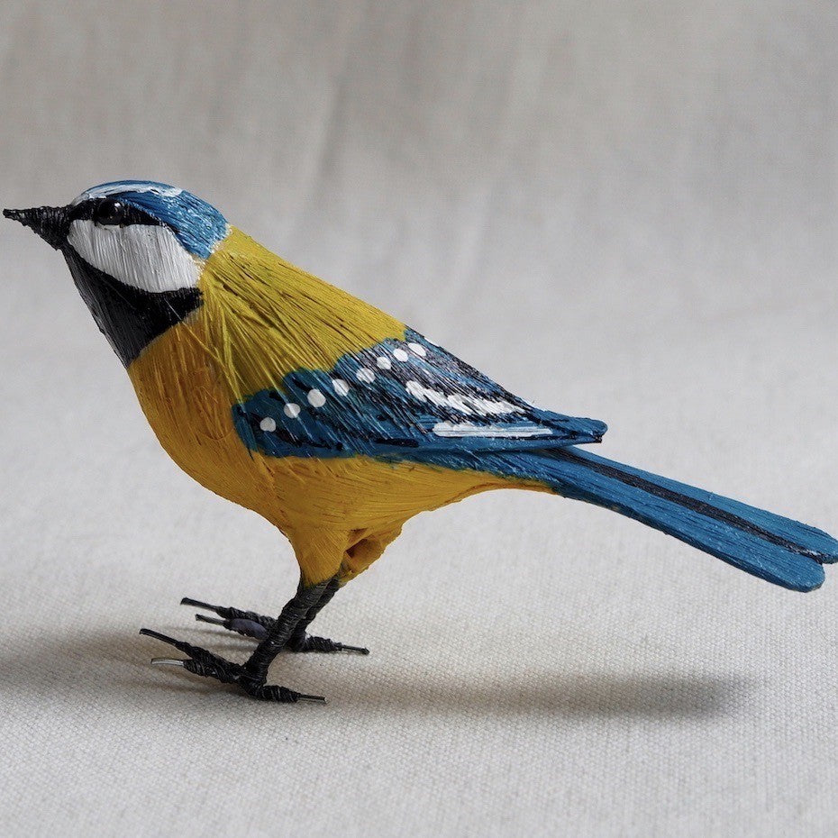 HERRERILLO | CYANISTES CAERULEUS | PÁJAROS