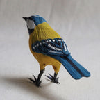 HERRERILLO | CYANISTES CAERULEUS | PÁJAROS