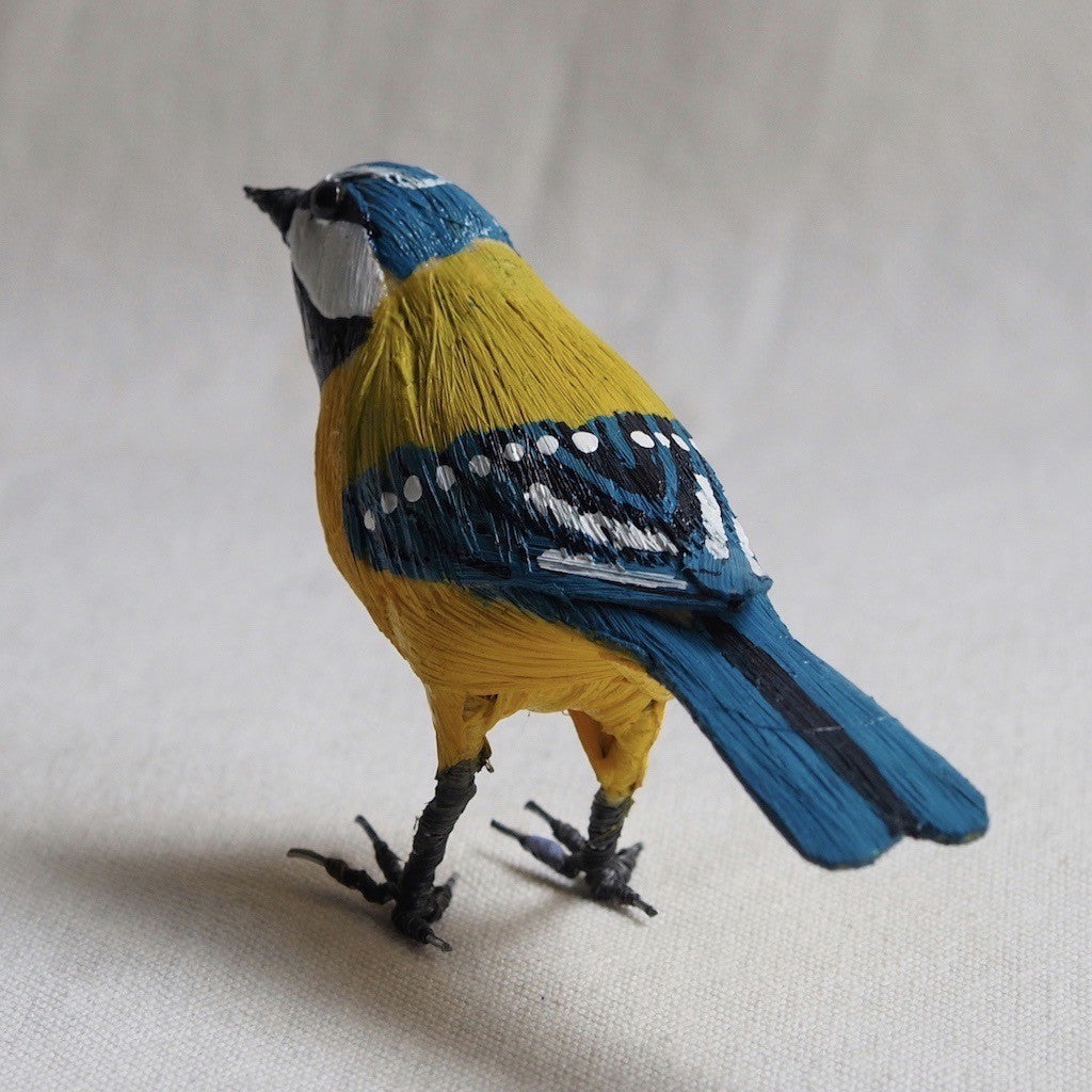 HERRERILLO | CYANISTES CAERULEUS | PÁJAROS