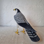 HALCON PEREGRINO | FALCO PEREGRINUS | PÁJAROS