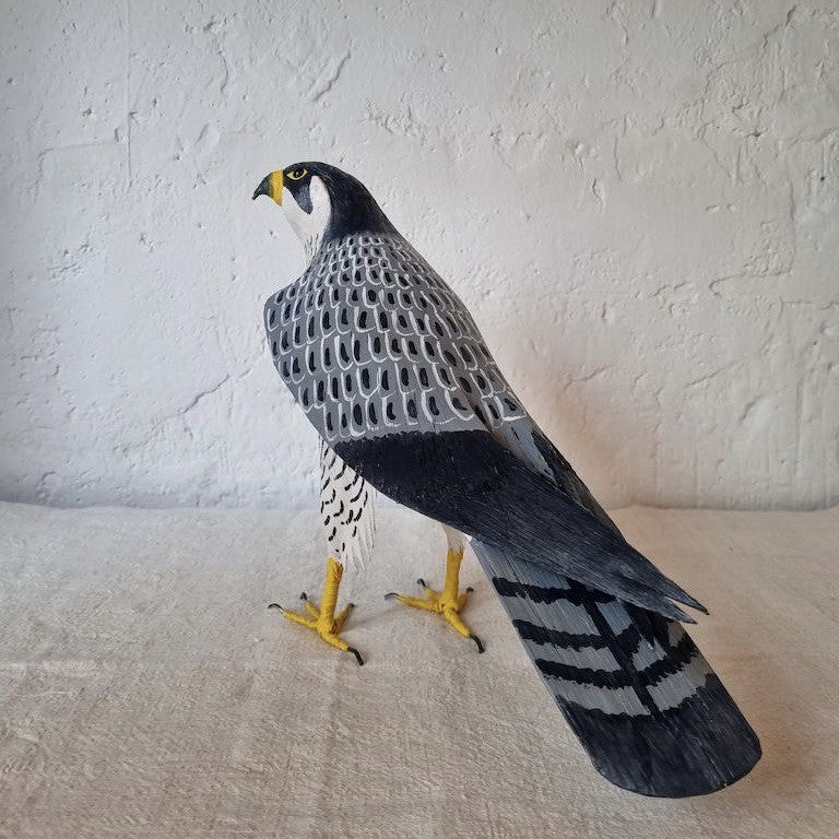 HALCON PEREGRINO | FALCO PEREGRINUS | PÁJAROS