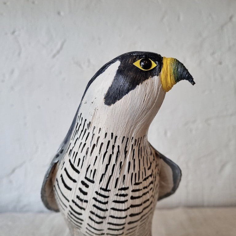 HALCON PEREGRINO | FALCO PEREGRINUS | PÁJAROS