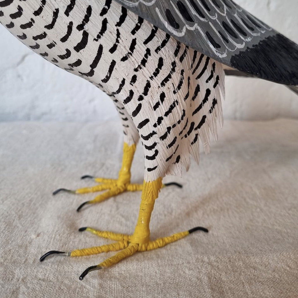 HALCON PEREGRINO | FALCO PEREGRINUS | PÁJAROS