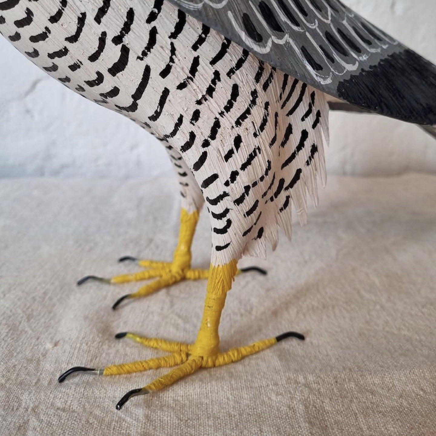 HALCON PEREGRINO | FALCO PEREGRINUS | PÁJAROS