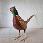FAISAN | PHASIANUS COLCHICUS | PÁJAROS