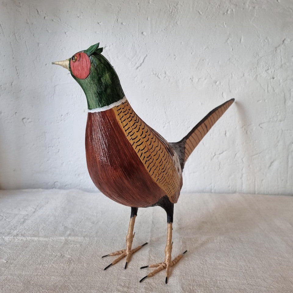 FAISAN | PHASIANUS COLCHICUS | PÁJAROS