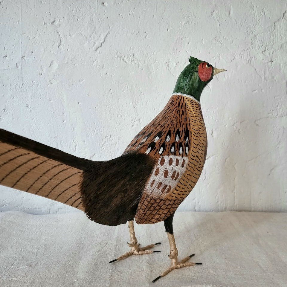 FAISAN | PHASIANUS COLCHICUS | PÁJAROS