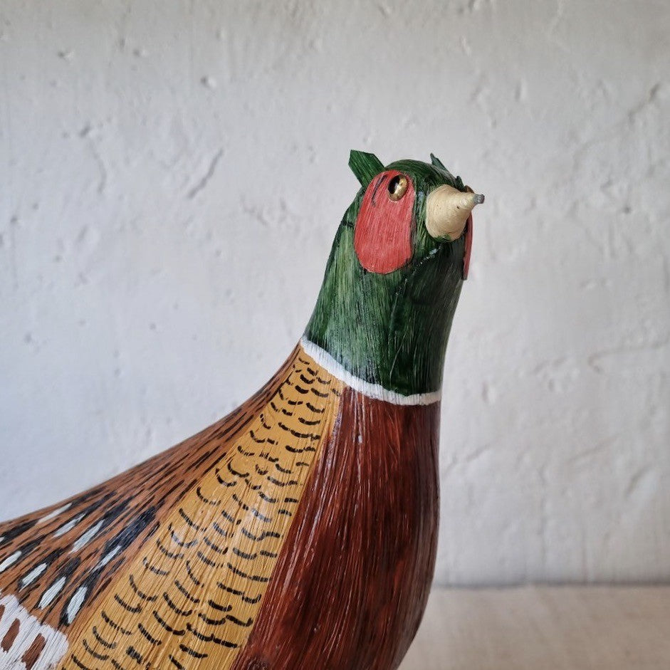 FAISAN | PHASIANUS COLCHICUS | PÁJAROS