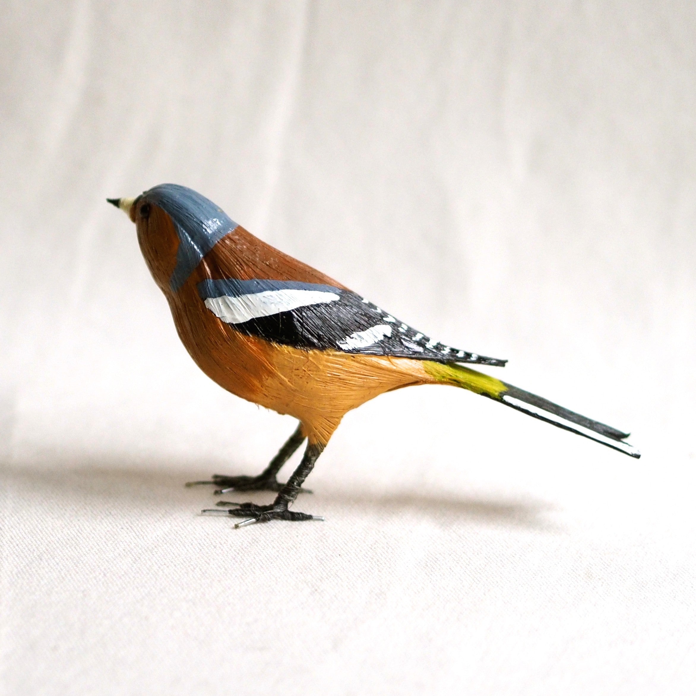 PINZON VULGAR | FRINGILLA COELEBS | PÁJAROS