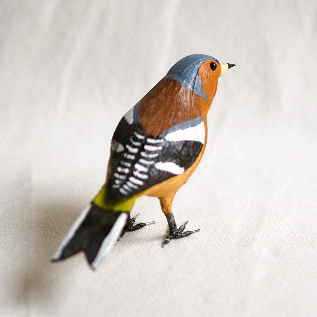 PINZON VULGAR | FRINGILLA COELEBS | PÁJAROS