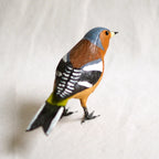 PINZON VULGAR | FRINGILLA COELEBS | PÁJAROS