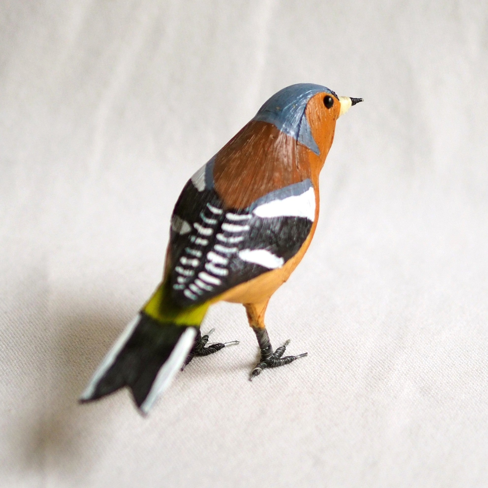 PINZON VULGAR | FRINGILLA COELEBS | PÁJAROS