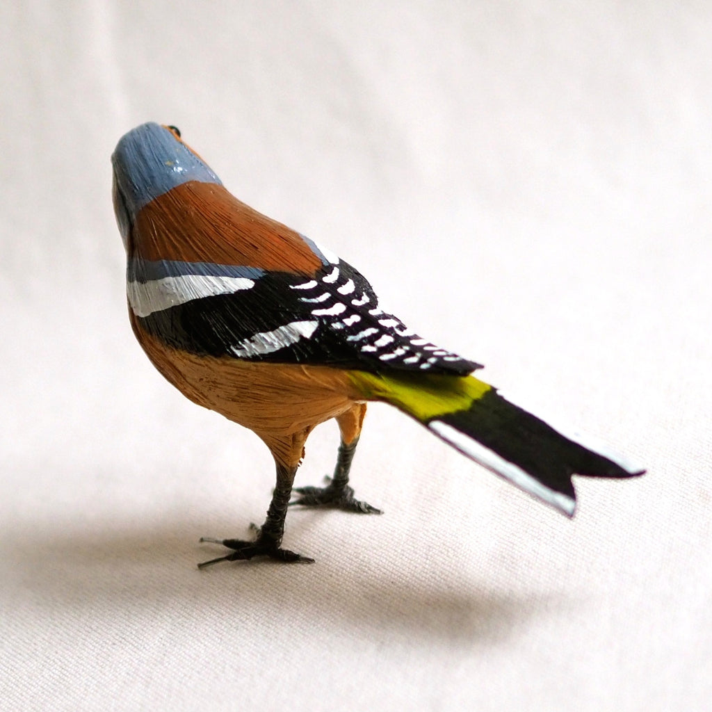 PINZON VULGAR | FRINGILLA COELEBS | PÁJAROS