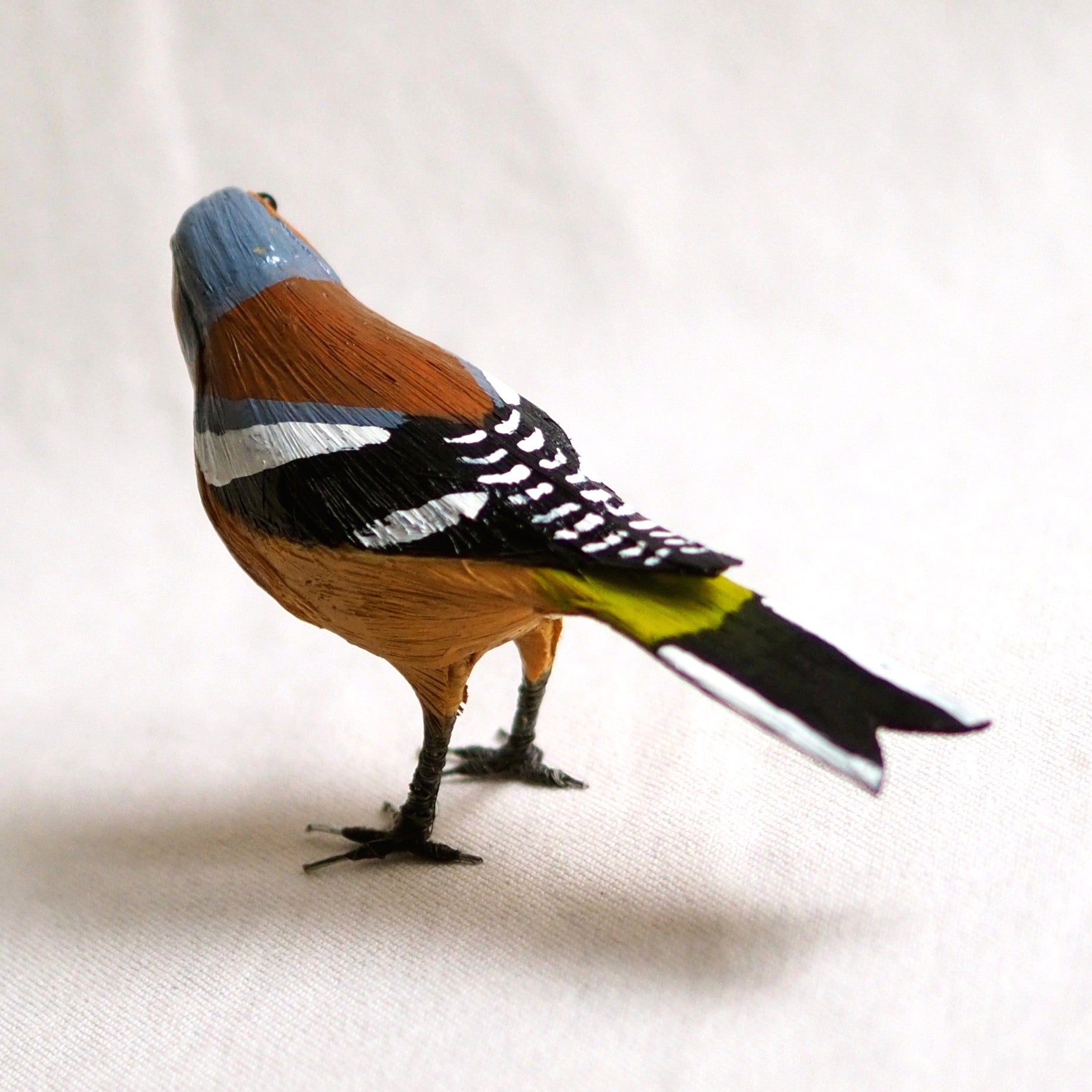 PINZON VULGAR | FRINGILLA COELEBS | PÁJAROS