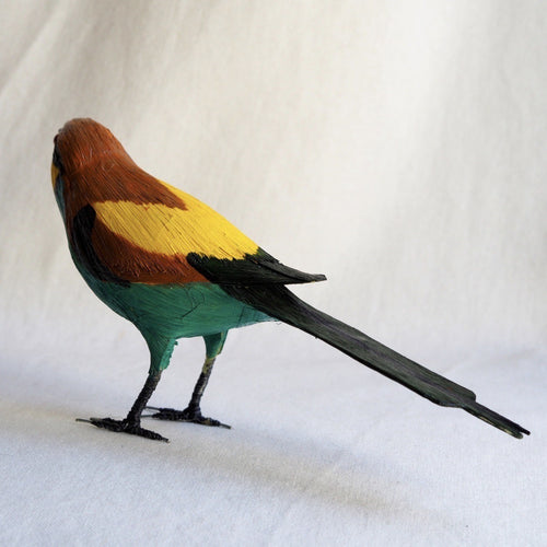 ABEJARUCO | MEROPS APIASTER | PÁJAROS