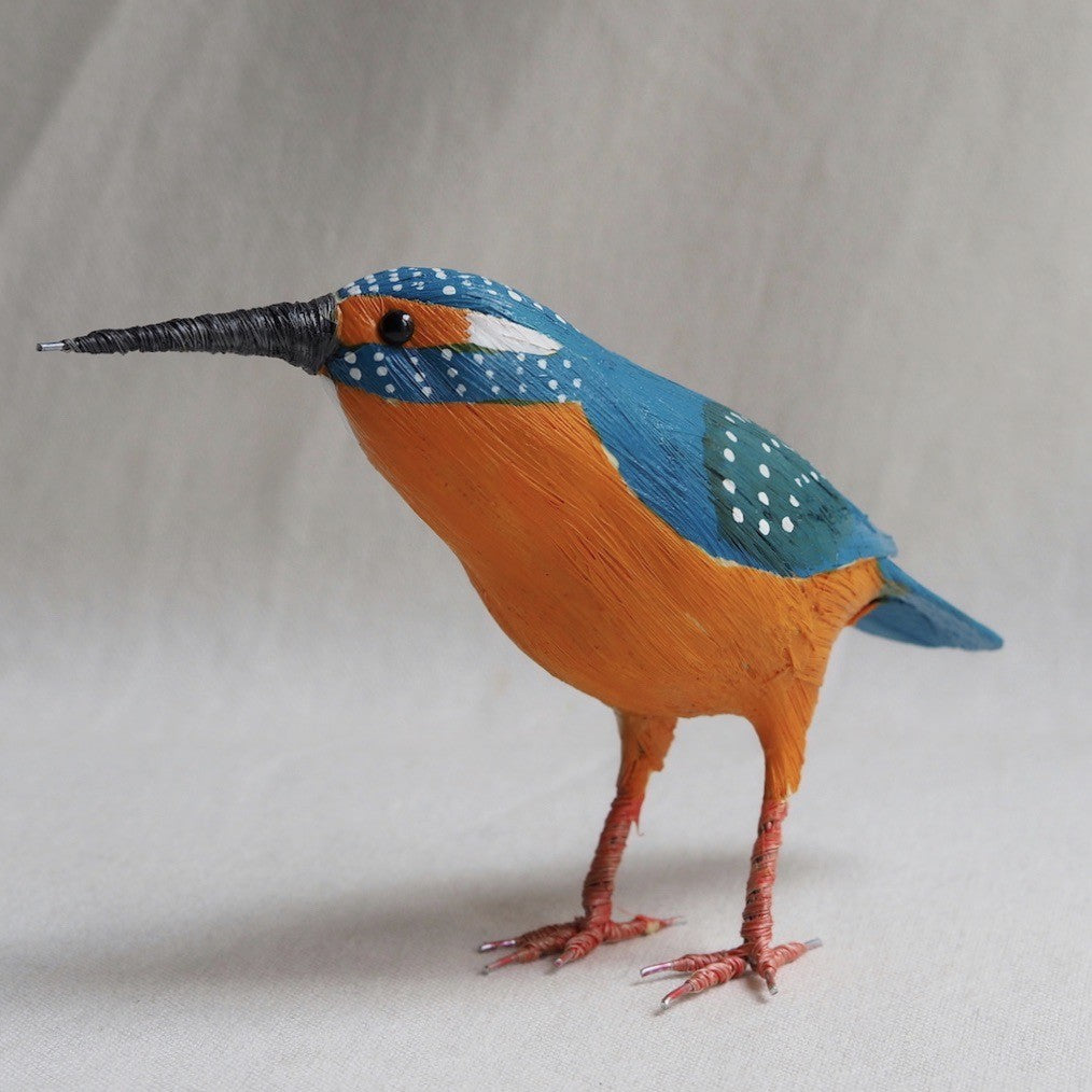 MARTIN PESCADOR | ALCEDO ATTHIS | PÁJAROS