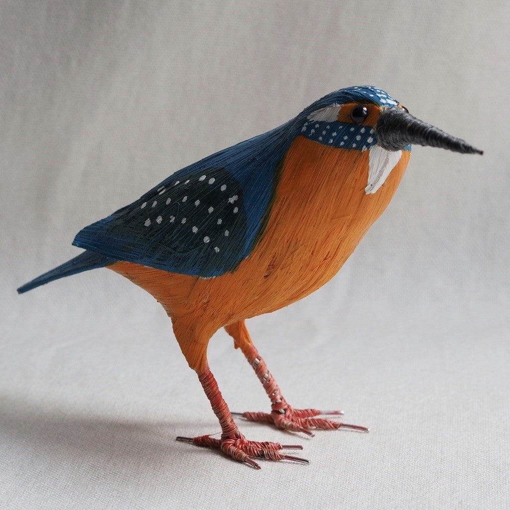 MARTIN PESCADOR | ALCEDO ATTHIS | PÁJAROS