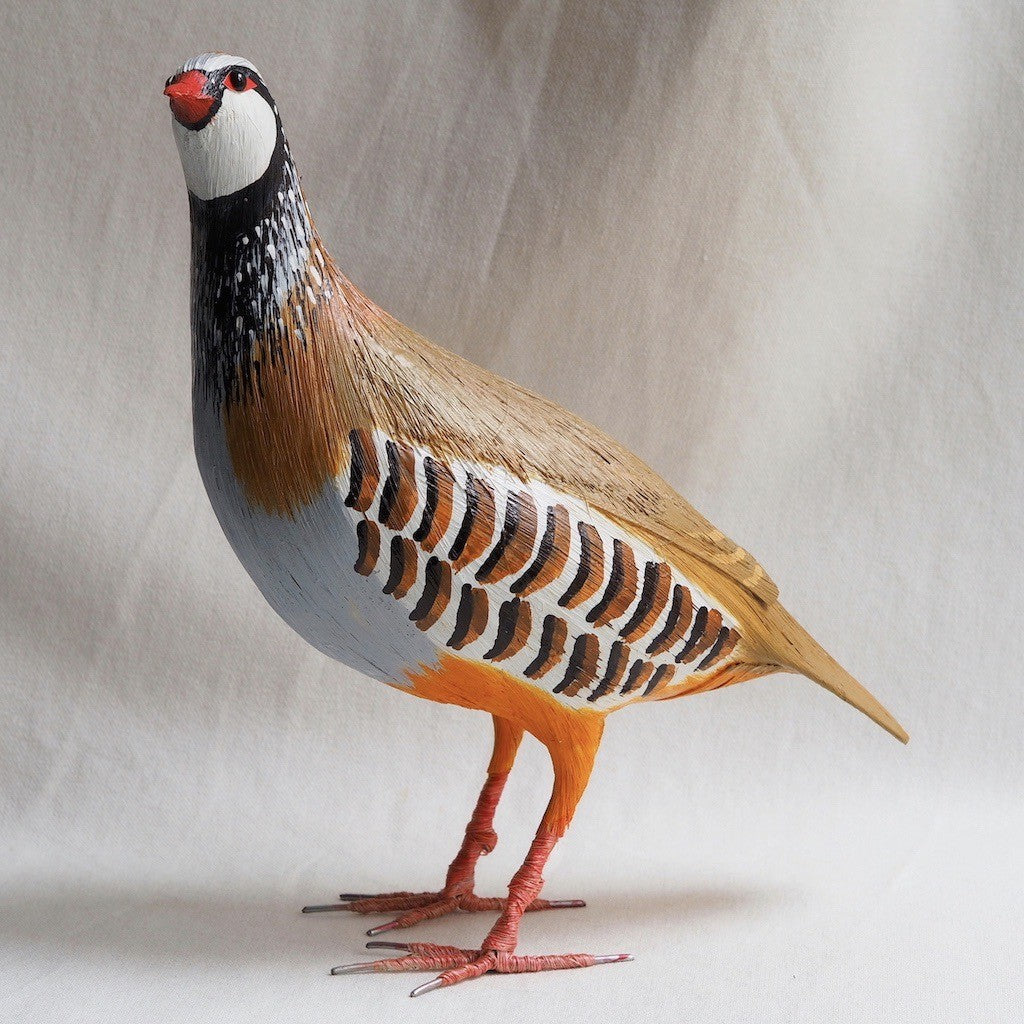 PERDIZ COMUN | ALECTORIS RUFA | PÁJAROS