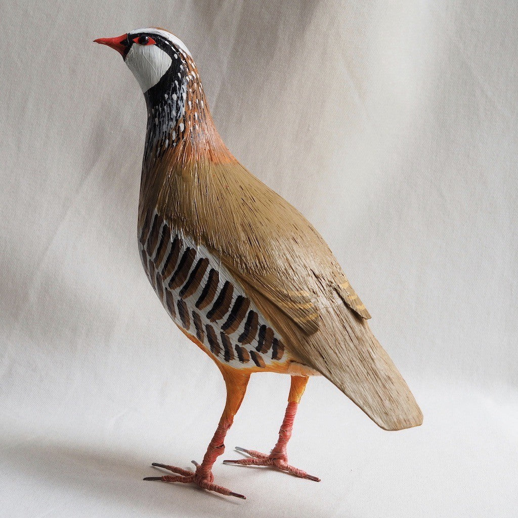PERDIZ COMUN | ALECTORIS RUFA | PÁJAROS