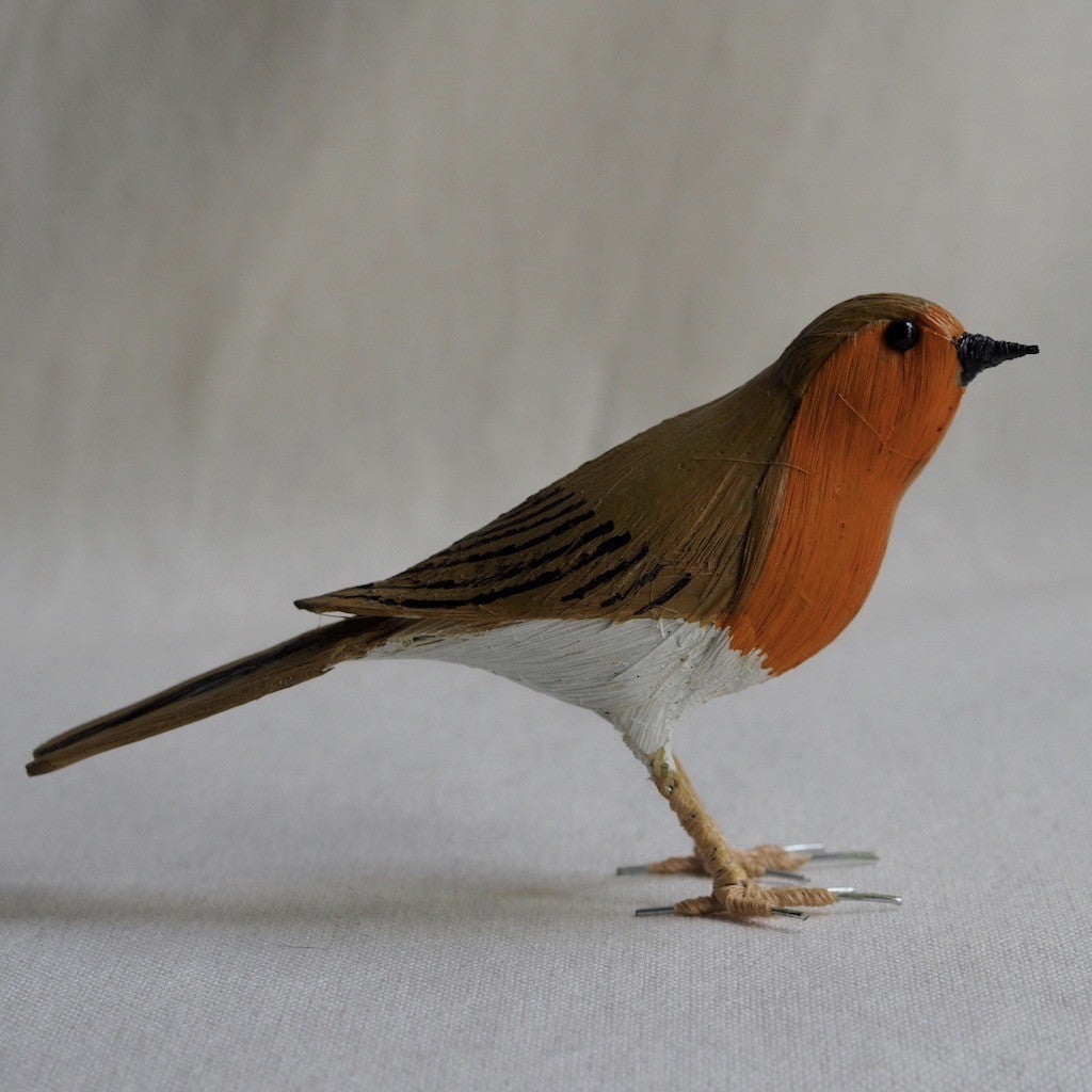 PETIRROJO | ERITHACUS RUBECULA | PÁJAROS
