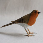 PETIRROJO | ERITHACUS RUBECULA | PÁJAROS
