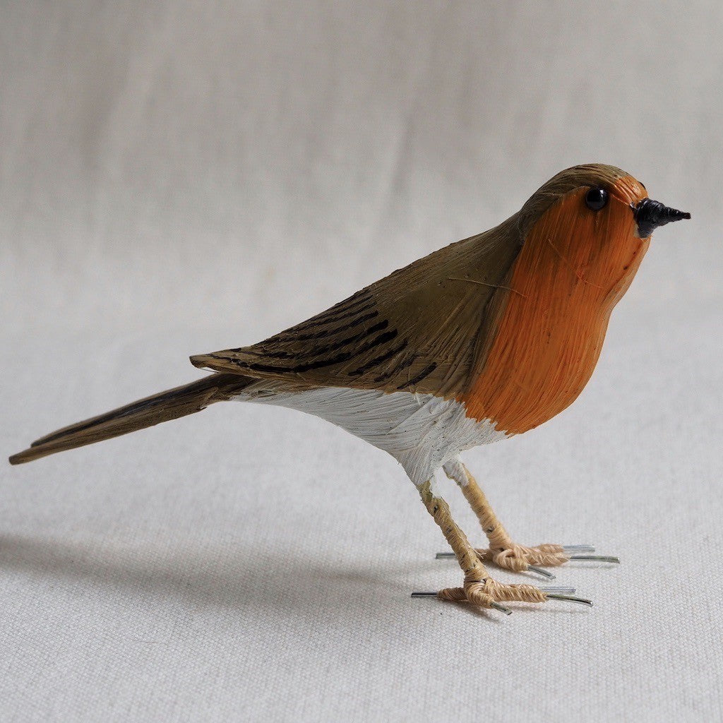 PETIRROJO | ERITHACUS RUBECULA | PÁJAROS