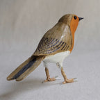 PETIRROJO | ERITHACUS RUBECULA | PÁJAROS