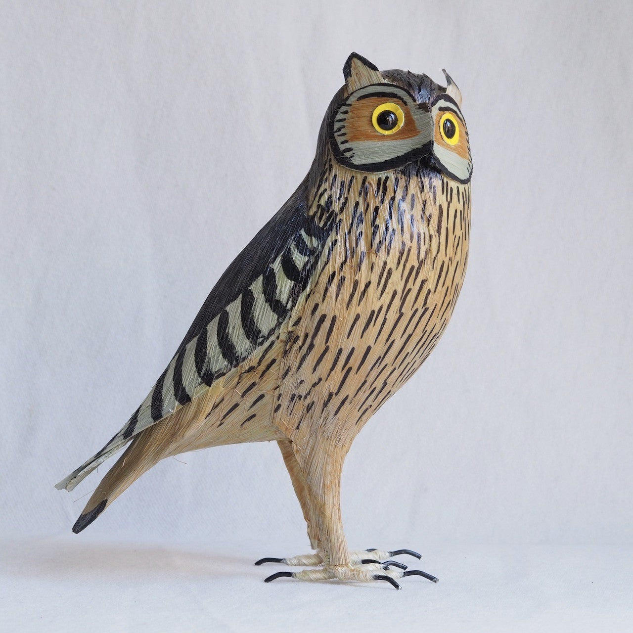 BUHO | BUBO BUBO | PÁJAROS