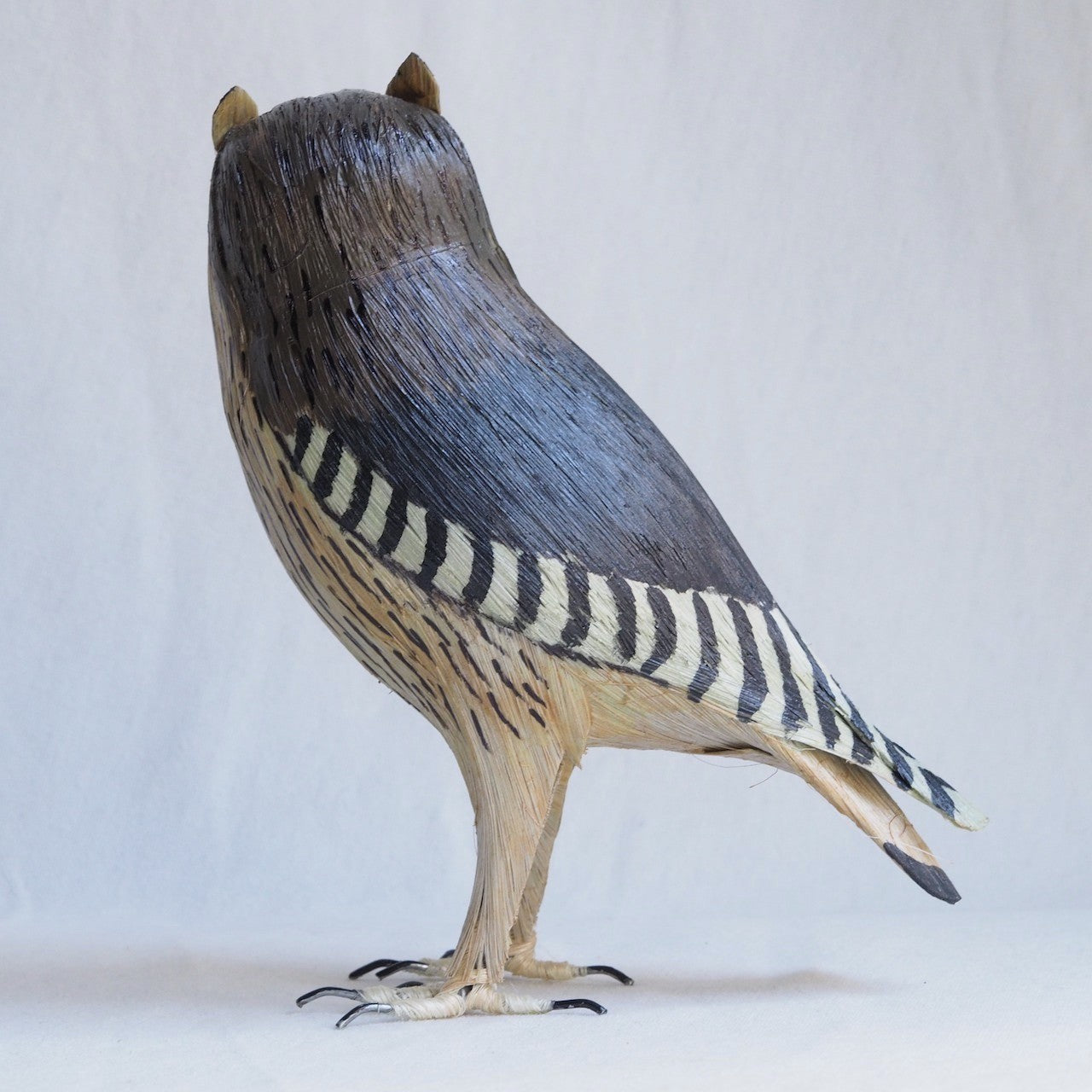 BUHO | BUBO BUBO | PÁJAROS