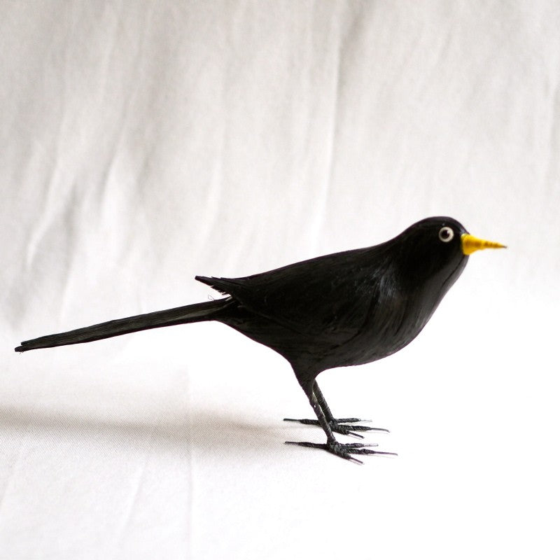 MIRLO | TURDUS MERULA | PÁJAROS