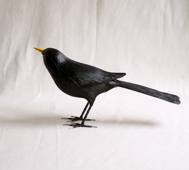 MIRLO | TURDUS MERULA | PÁJAROS