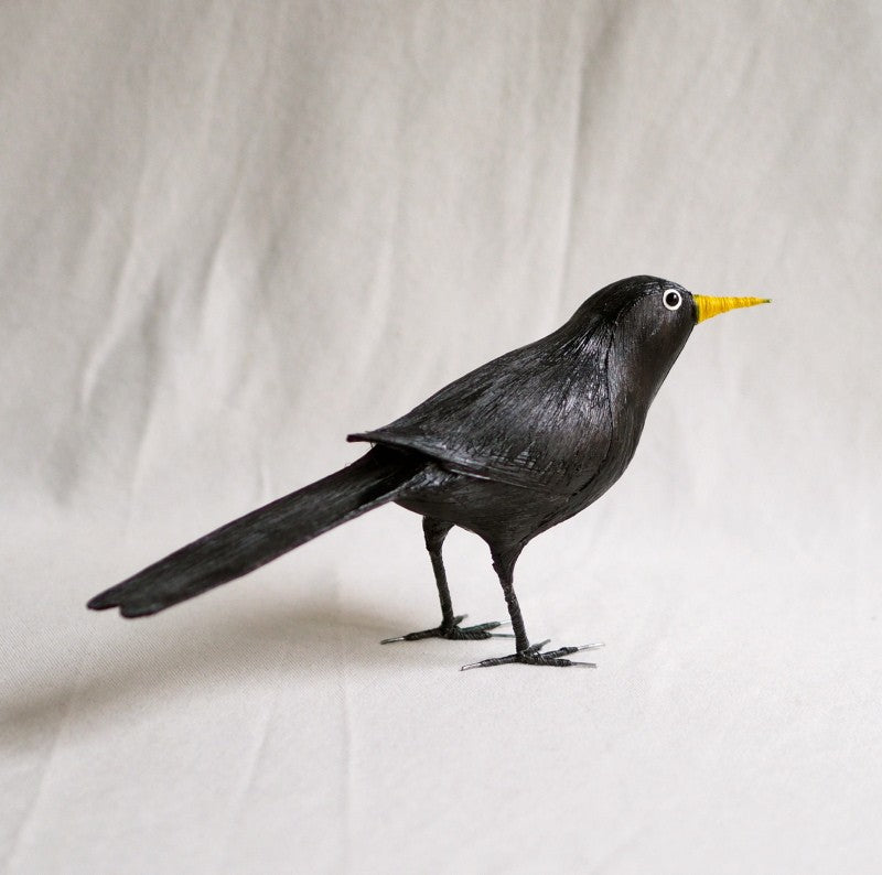 MIRLO | TURDUS MERULA | PÁJAROS