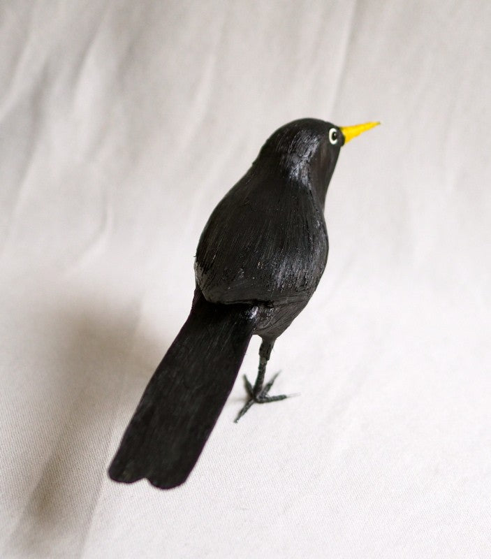 MIRLO | TURDUS MERULA | PÁJAROS