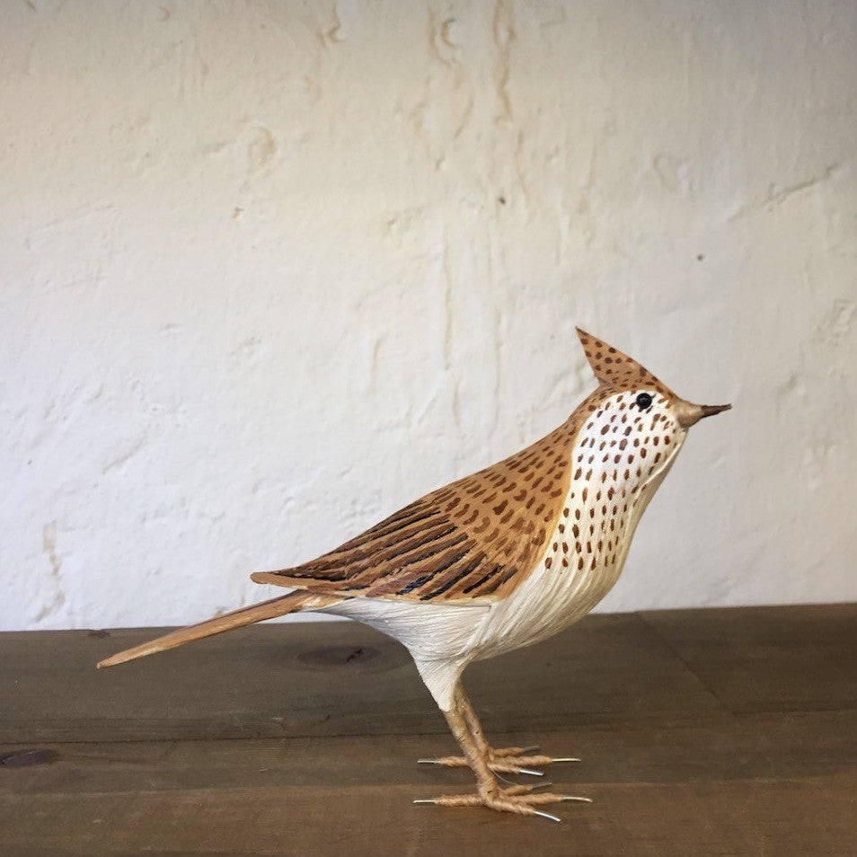 ALONDRA | ALAUDA ARVENSIS | PÁJAROS