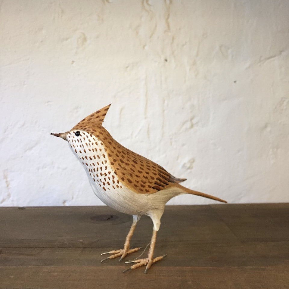 ALONDRA | ALAUDA ARVENSIS | PÁJAROS
