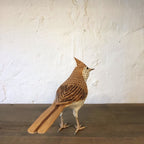 ALONDRA | ALAUDA ARVENSIS | PÁJAROS