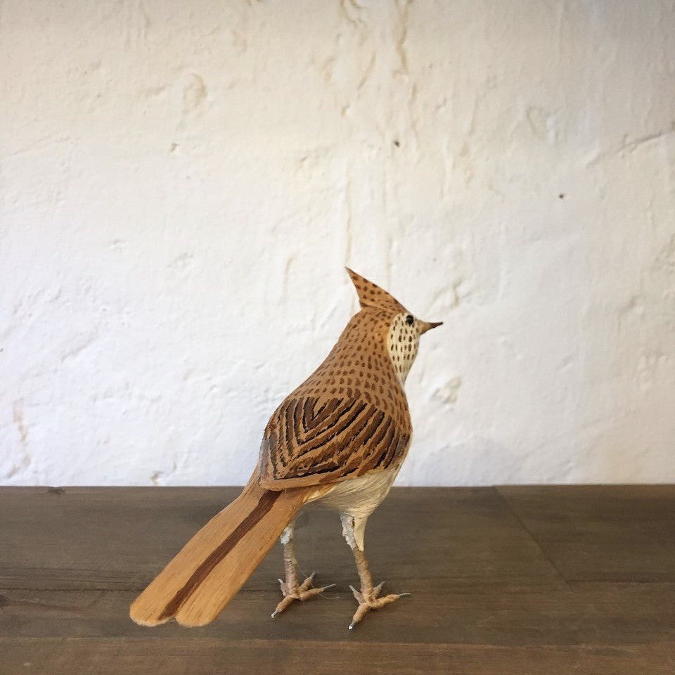 ALONDRA | ALAUDA ARVENSIS | PÁJAROS