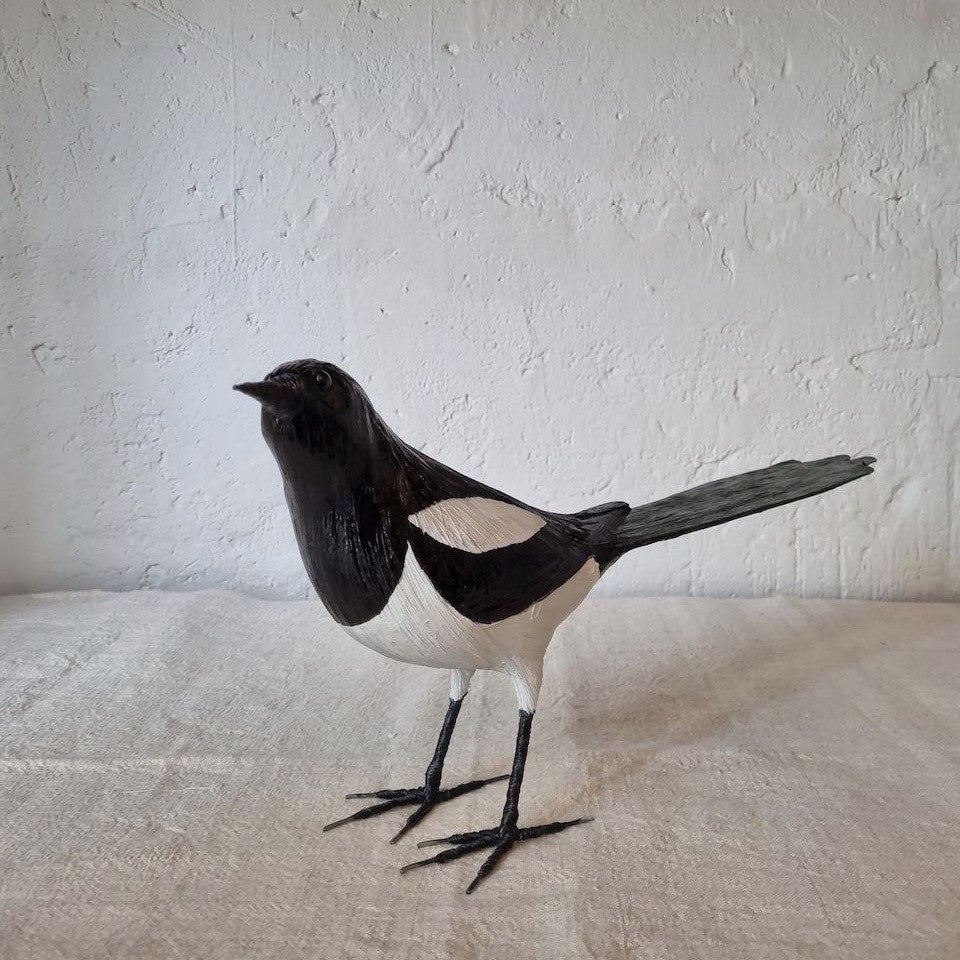 URRACA | PICA PICA | PÁJAROS