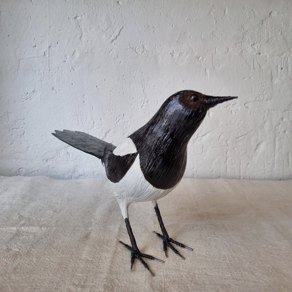 URRACA | PICA PICA | PÁJAROS