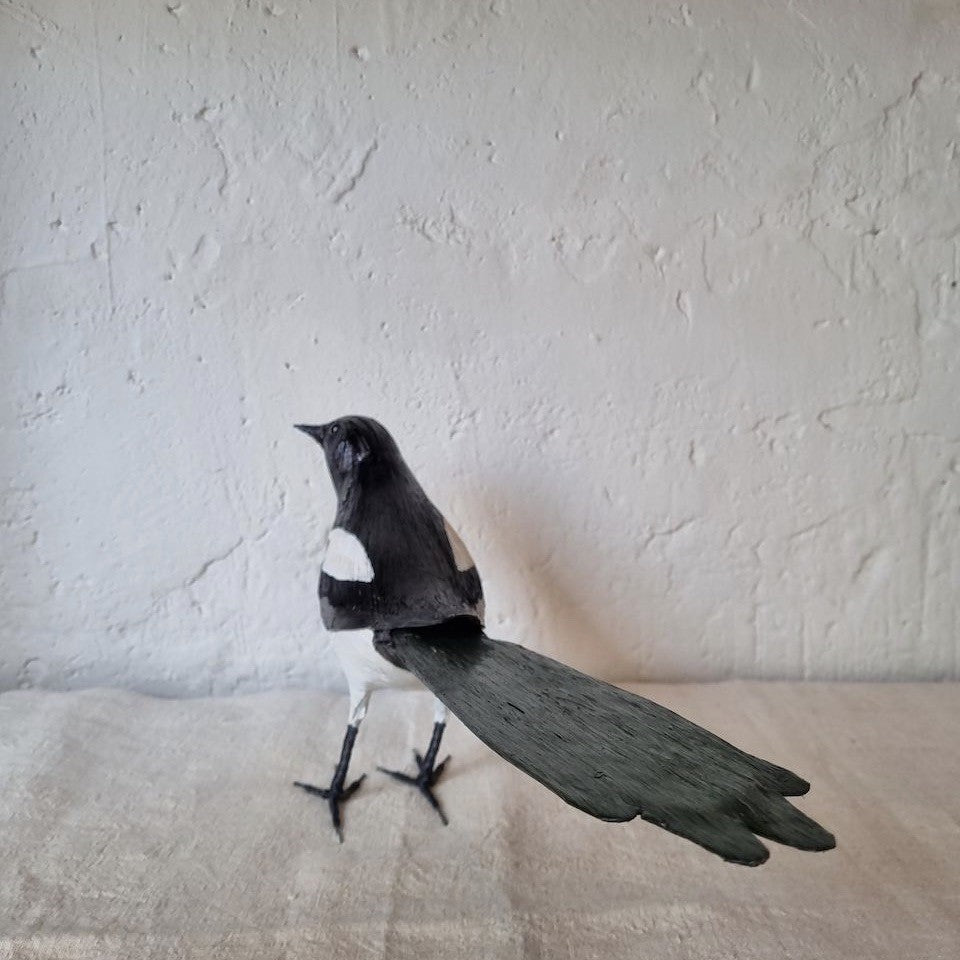 URRACA | PICA PICA | PÁJAROS