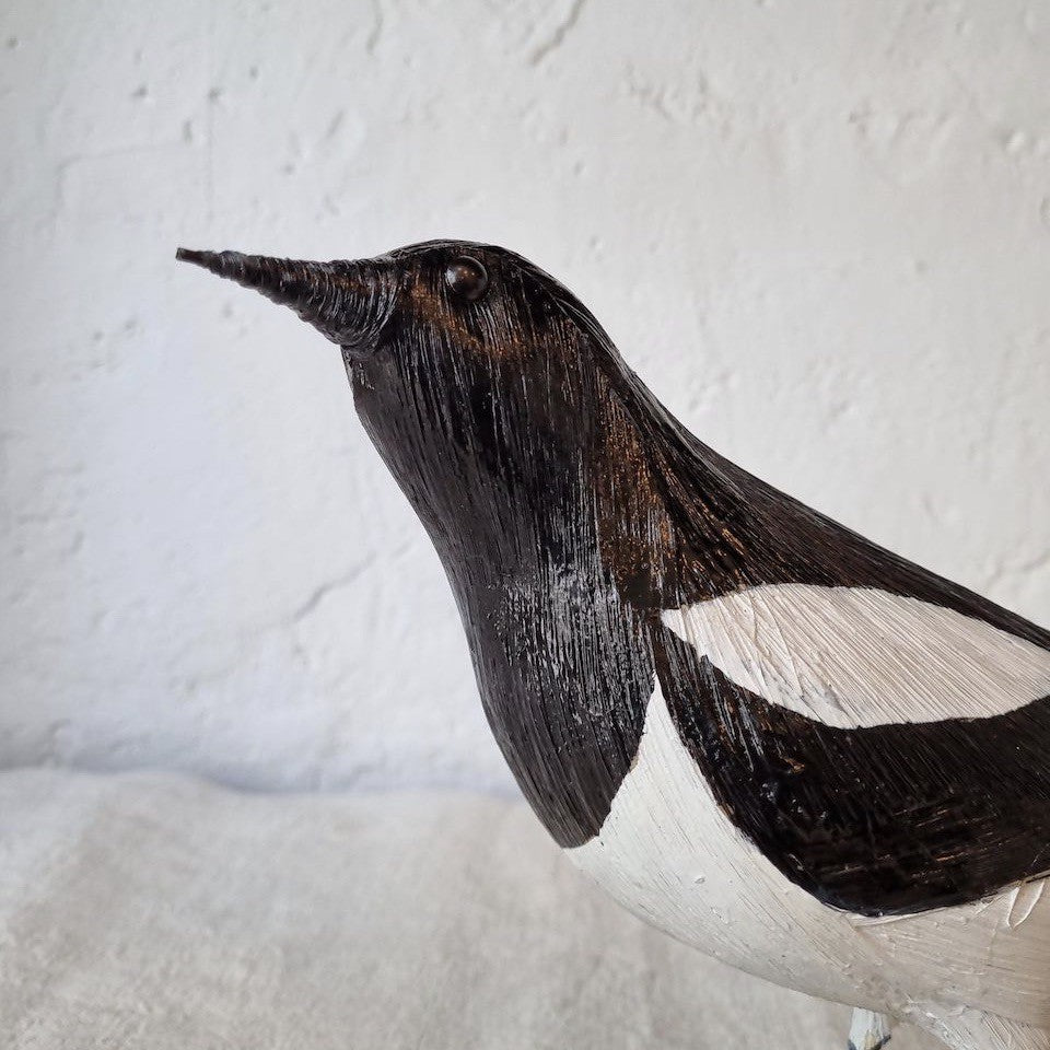 URRACA | PICA PICA | PÁJAROS