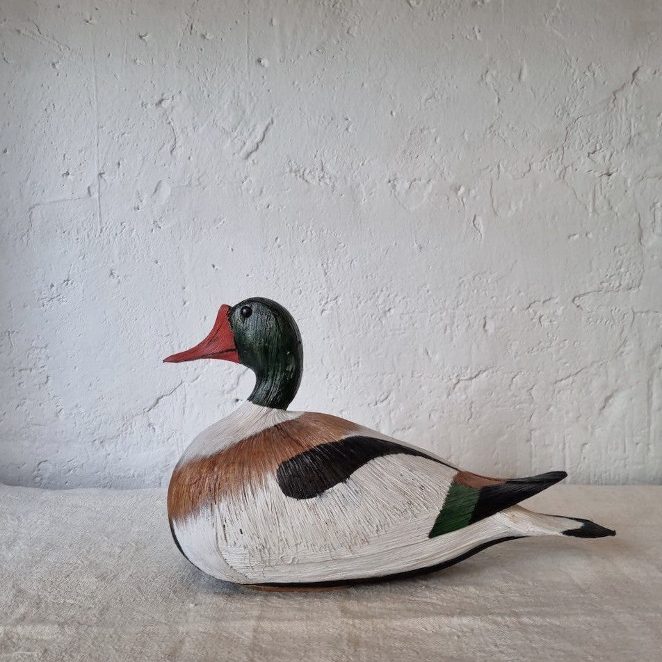 PATO TARRO BLANCO | TADORNA TADORNA | PÁJAROS